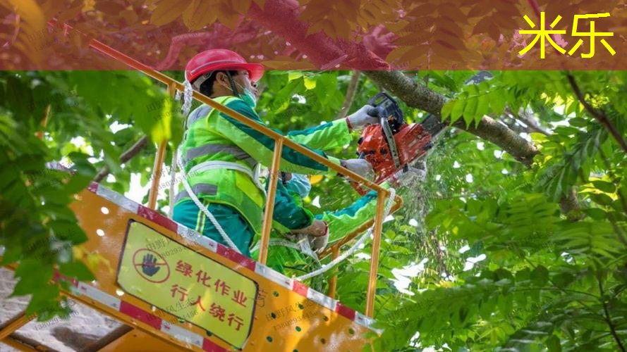 网球拍穿完线如何把线排齐