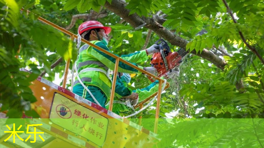 mile米乐m6官网：100的网球拍是什么水平