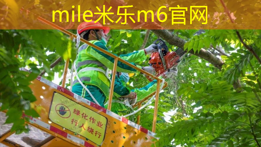 一个网球拍能闲置多久