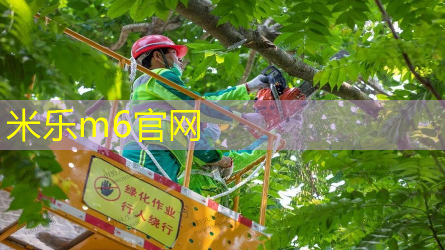 女孩子拿网球拍打人
