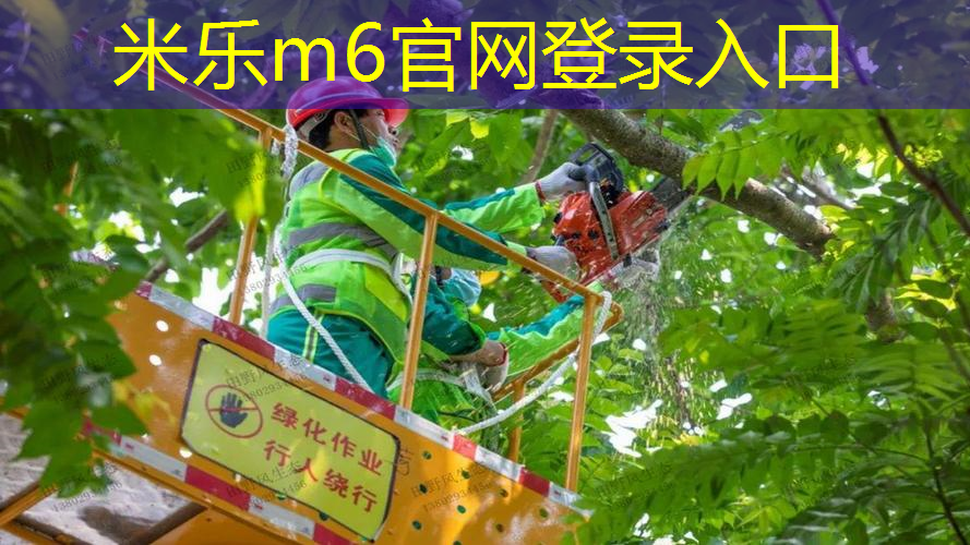 房间里怎么摆网球拍好看