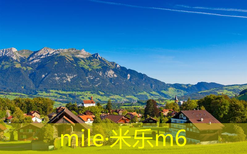 mile米乐m6官网：网球拍单人训练器防滑贴