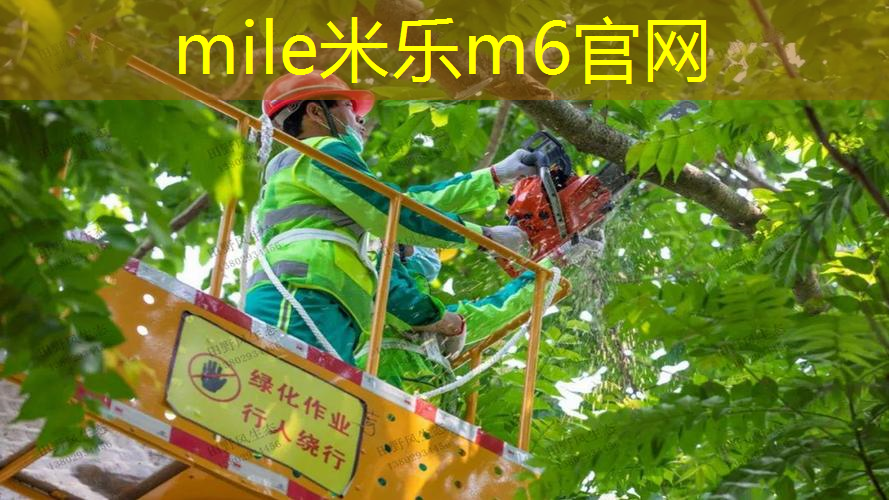 蒂姆网球拍的重量是多少