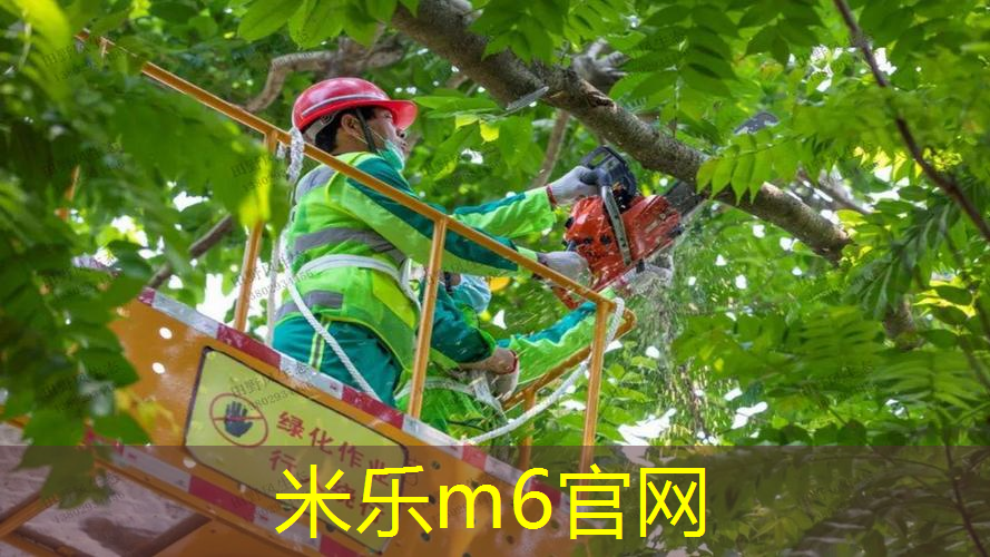 米乐：一个网球拍能用多久
