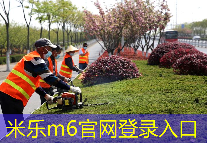 适合初学者的网球拍价格