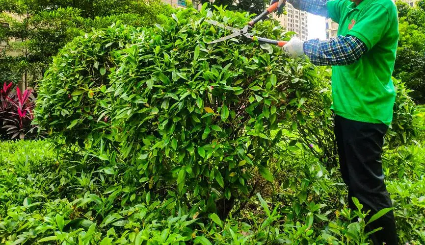 米乐m6官网：转转上的网球拍怎么样