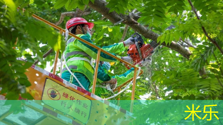 mile米乐m6官网：网球拍球初学者教程图解