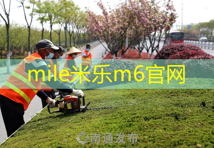 闲置床桌网球拍怎么摆放