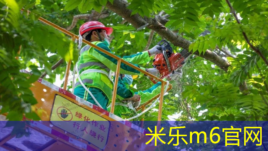 百保力网球拍270克