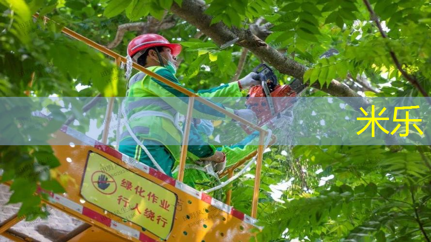 米乐m6官网：飞跃人生，起飞之前必修的室外体育健身器材单杠课程！