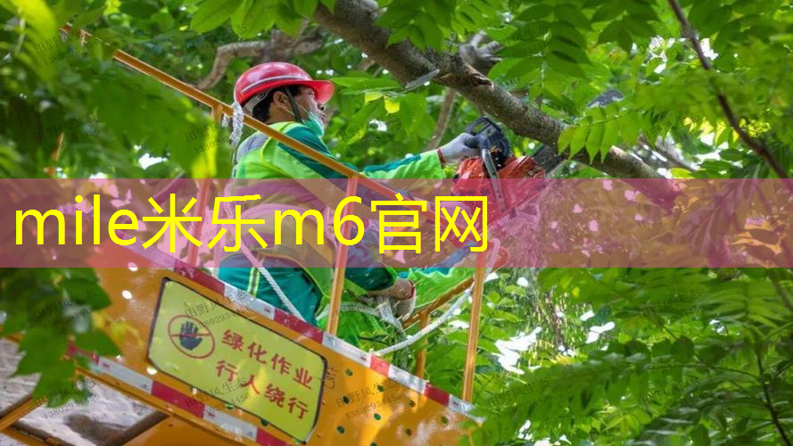 mile米乐m6官网：上午室内健身好不好