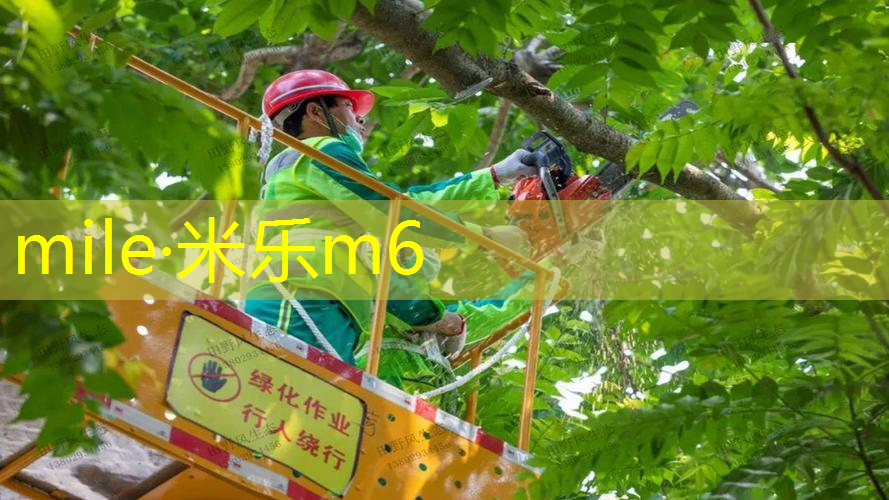 米乐m6官网：健身室内塑形