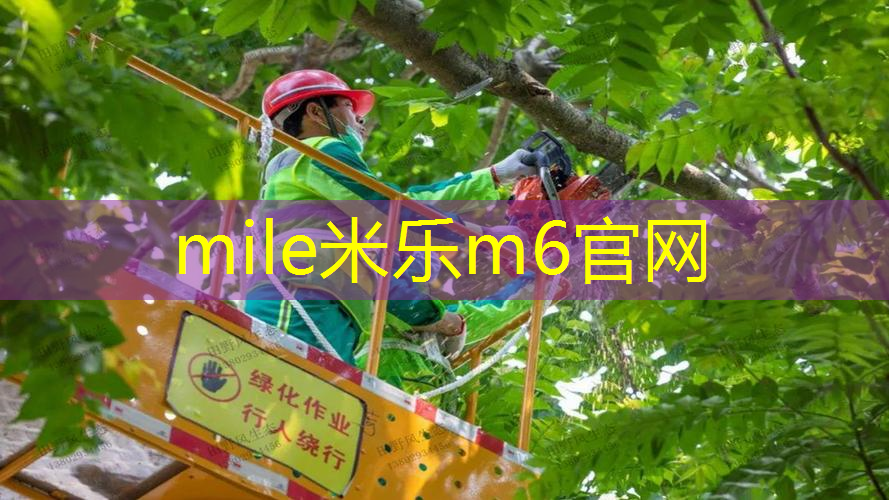 网球拍穿完线如何把线排齐