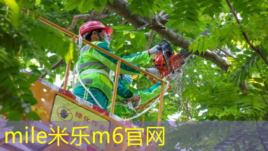 100的网球拍是什么水平