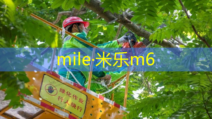 一个网球拍能闲置多久