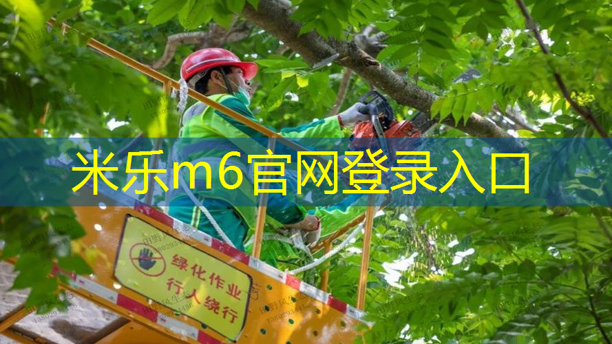 女孩子拿网球拍打人