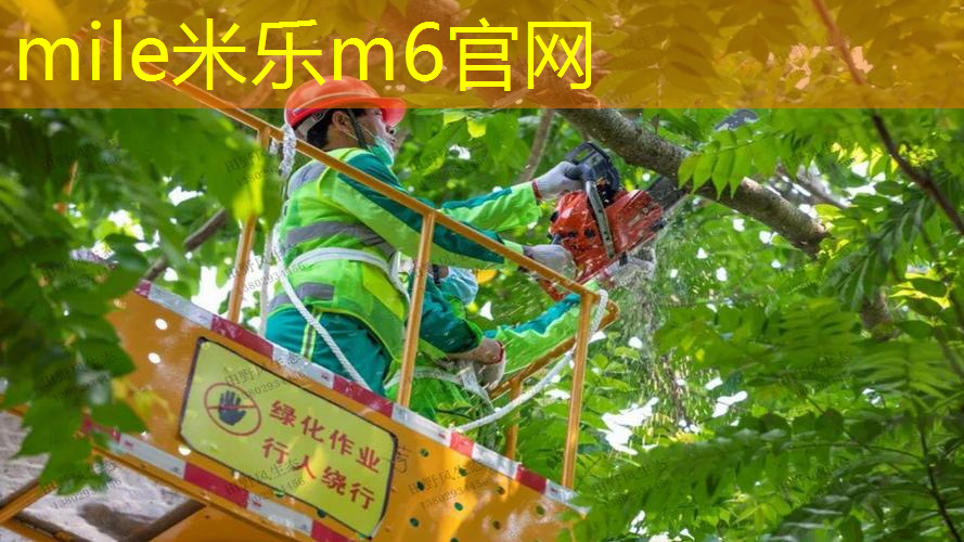 房间里怎么摆网球拍好看