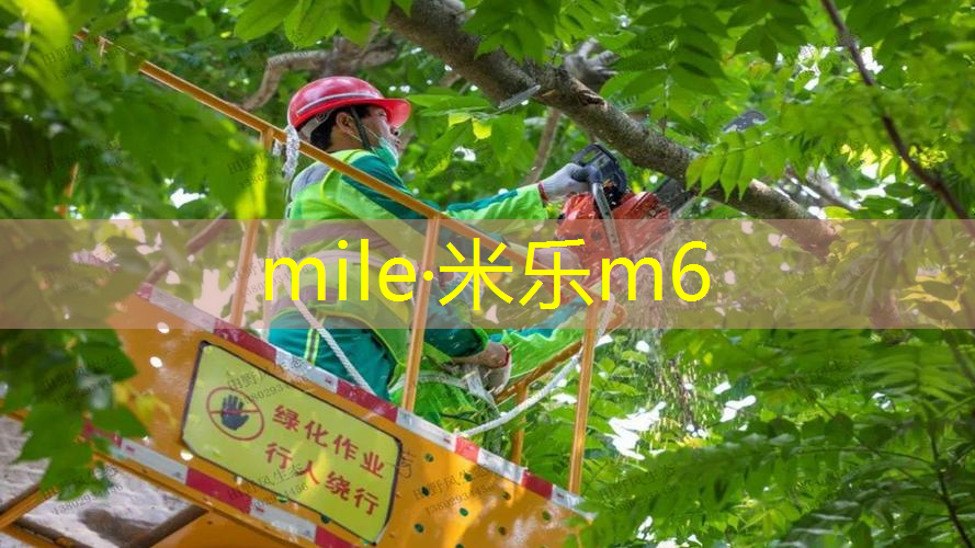 蒂姆网球拍的重量是多少