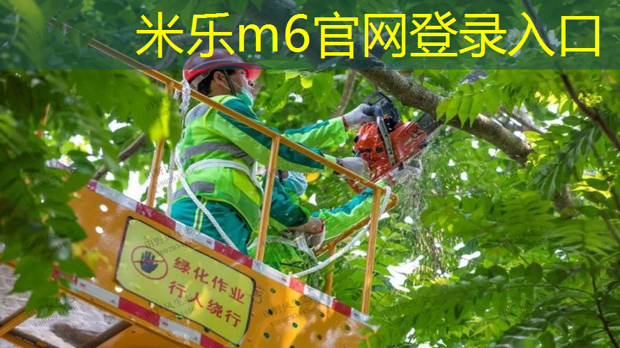 一个网球拍能用多久