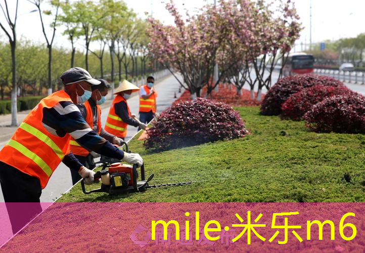 适合初学者的网球拍价格