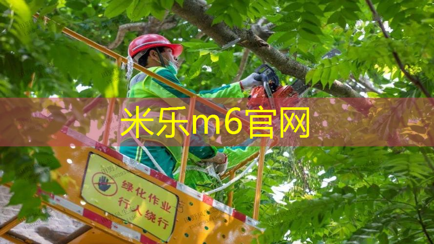 网球拍球初学者教程图解