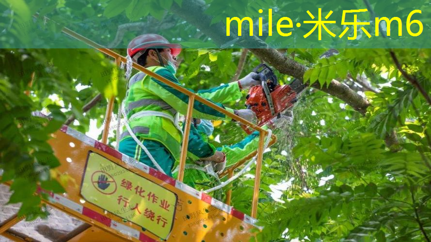 百保力网球拍270克
