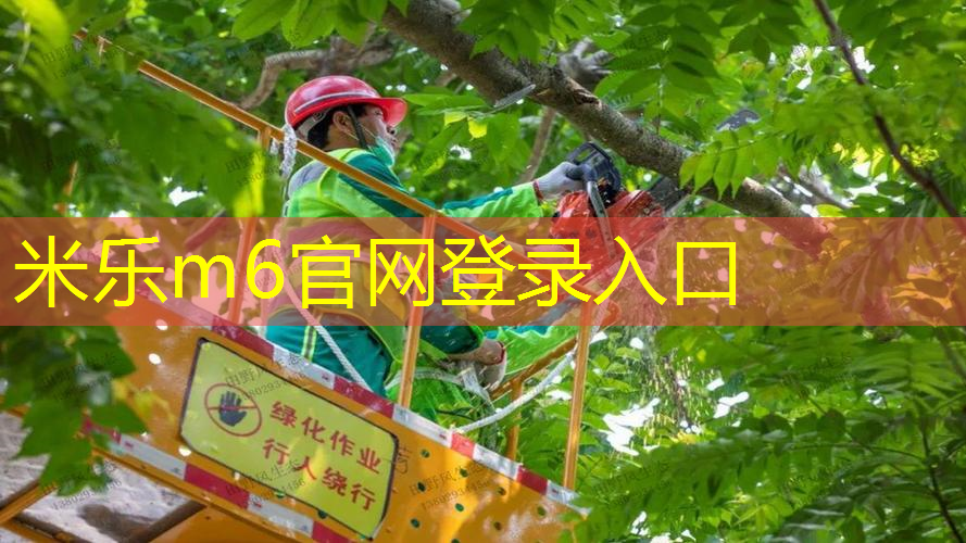 旋转比较多的网球拍叫什么