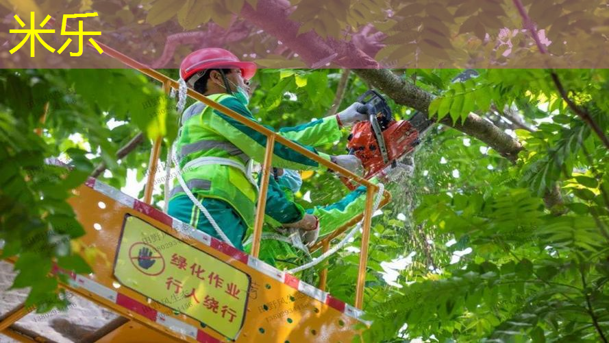 上午室内健身好不好