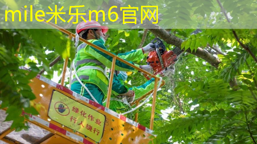 健身室内塑形